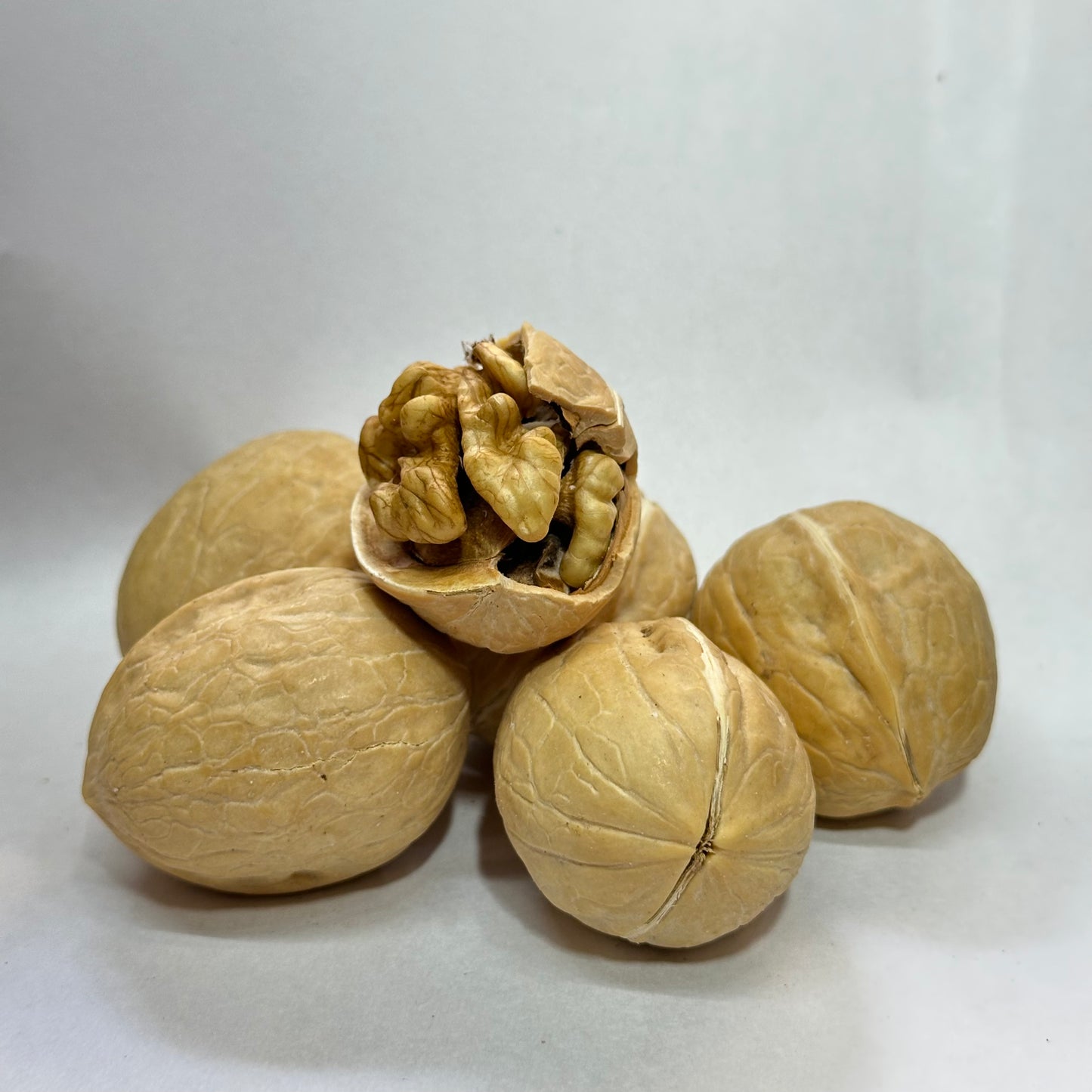 Premium Walnut